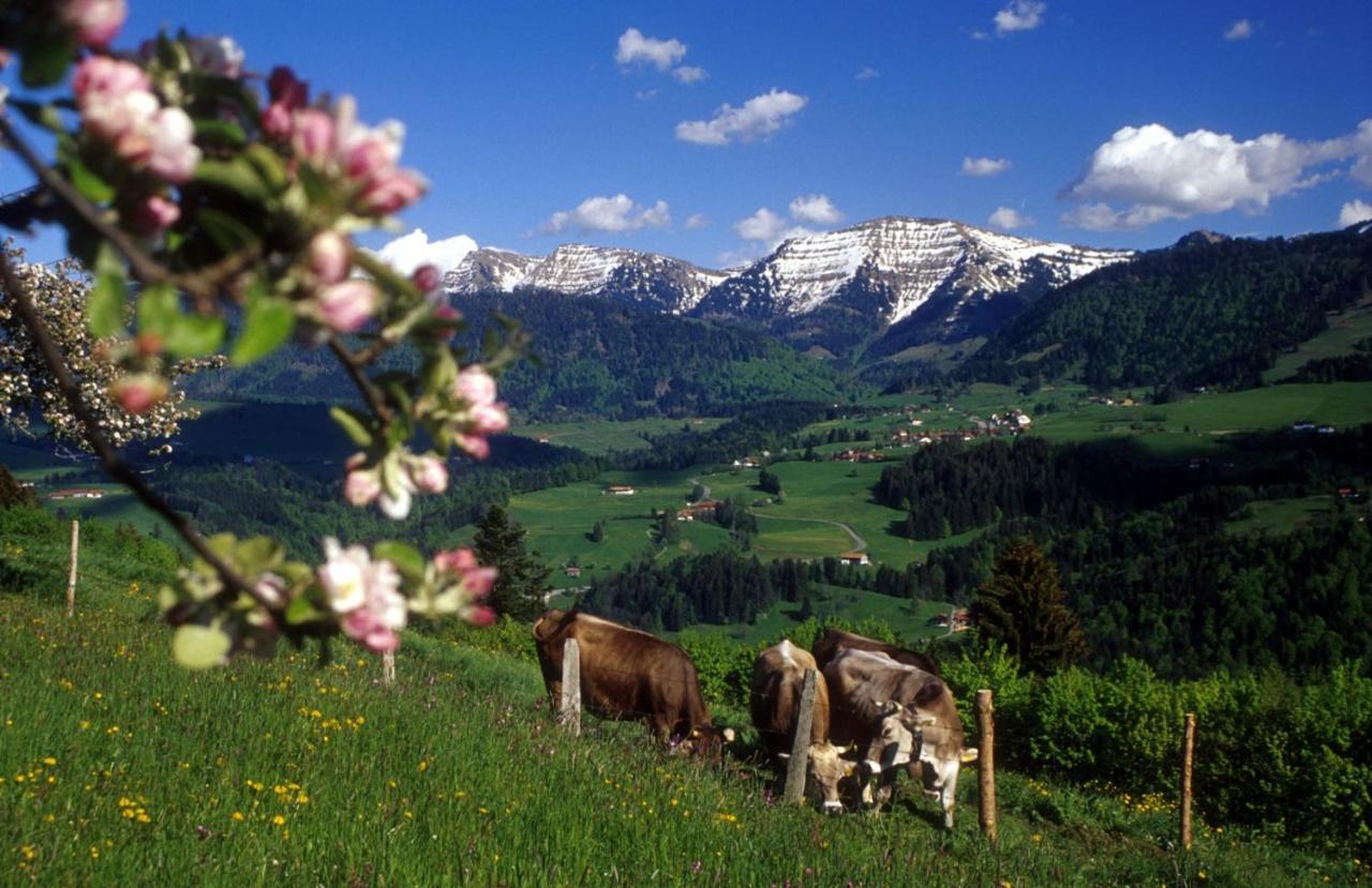 Fewo "Staufen Lodge" Оберщауфен Екстериор снимка